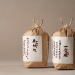 Paper Bag_1