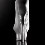 Biomimicry Shoe by Marieka Ratsma and Kostika Spaho_3